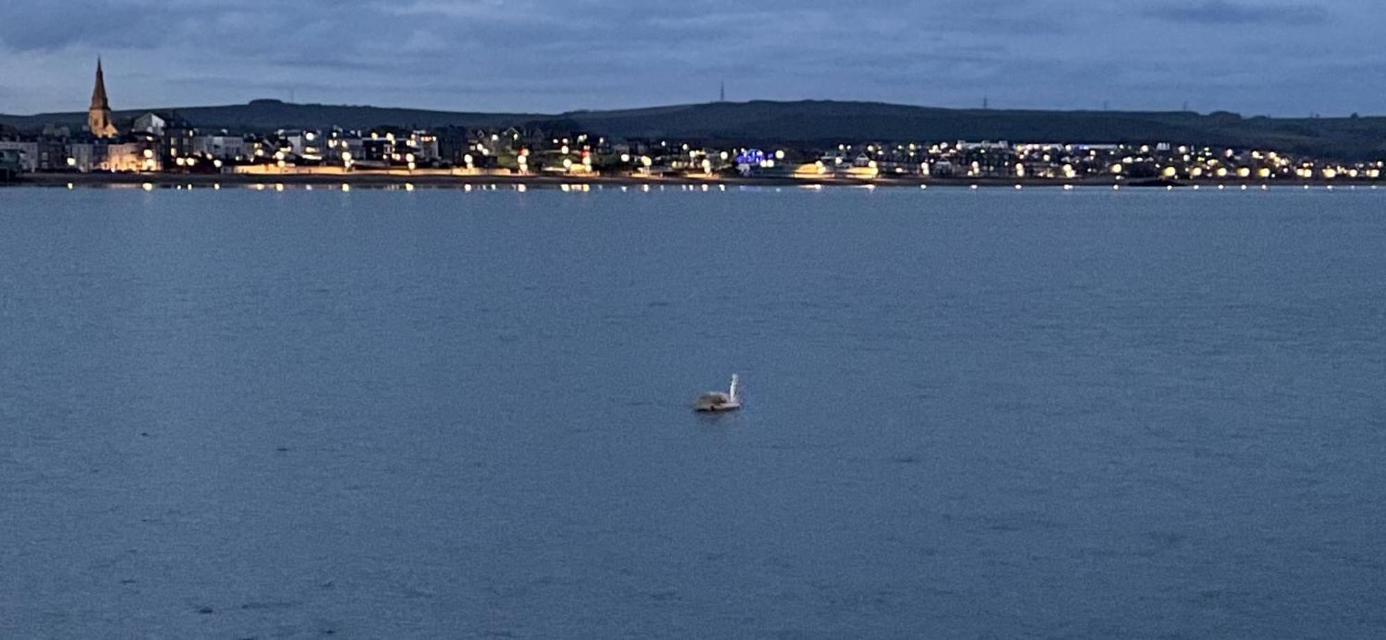 Appartamento Pike House Weymouth Esterno foto